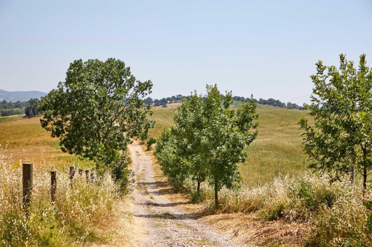 Agriturismo Montecrespini 사투르니아 외부 사진